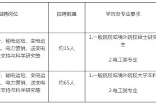扬中重庆有雇用伴游外围吗(高端外围伴游雇用一单一结)