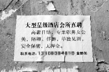 扬中珠海伴游雇用网(珠海游览社雇用信息)