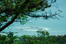 扬中中国伴游网与你分享旅游的点滴(中国伴游网与你分享旅游的点滴是什么)