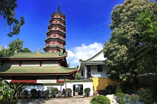 扬中广州自由行(广州 自由行)