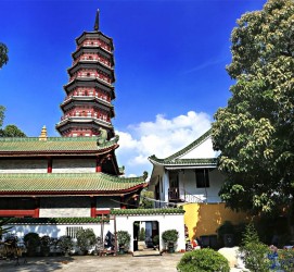 扬中广州自由行(广州 自由行)
