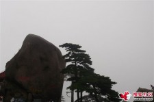 扬中上海伴游私家陪游雇用女模(上海伴游私家陪游雇用女模特)