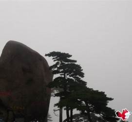 扬中上海伴游私家陪游雇用女模(上海伴游私家陪游雇用女模特)