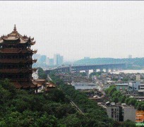 扬中武汉游玩攻略(武汉游玩攻略ppt)