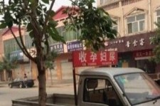 扬中上海伴游 用伴游造句大全(5