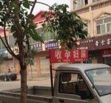 扬中上海伴游 用伴游造句大全(5
