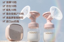 扬中奶模(奶模型)