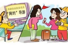 扬中伴游是什么