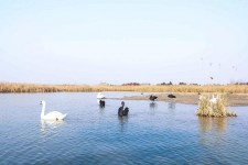 扬中南昌附近伴游小妹兼职(1534939978姐的微信德惠市)