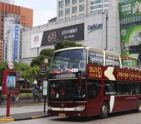 扬中上海私人伴游 上海过年怎么玩？这些“微游”线路了解下→