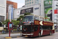 扬中上海私人伴游 上海过年怎么玩？这些“微游”线路了解下→