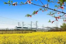 扬中高铁游(高铁游戏下载手机版)