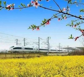 扬中高铁游(高铁游戏下载手机版)