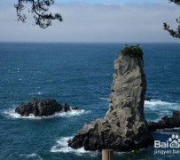 扬中旅游全攻略(上海旅游全攻略)