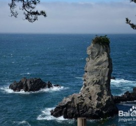 扬中旅游全攻略(上海旅游全攻略)