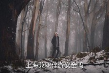 扬中上海私人伴游 上海伴游，上海兼职伴游安全吗