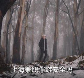 扬中上海私人伴游 上海伴游，上海兼职伴游安全吗