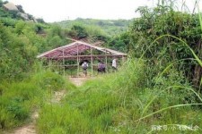 扬中北海伴游兼职雇用信息(北海伴游兼职雇用信息大全)