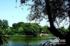 扬中西湖旅游攻略(上海到杭州西湖旅游攻略)