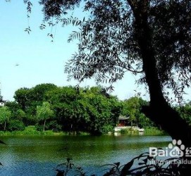 扬中西湖旅游攻略(上海到杭州西湖旅游攻略)