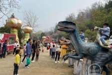 扬中中国伴游带你打卡网红南山竹海(南山竹海网上预约)