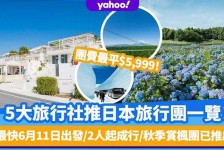 扬中旅游价格(旅游价格机制)