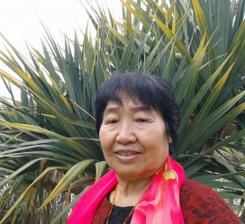 扬中白叟带老伴游半个中国(白叟外出旅游)