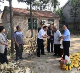 扬中关于宋叔带老伴游中国的信息