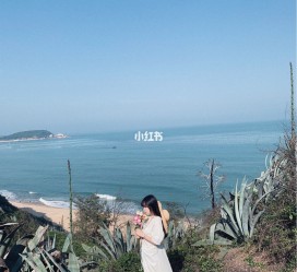 扬中厦门周边游(厦门及周边旅游攻略)