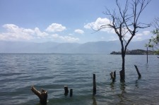 扬中洱海旅游攻略(洱海旅游攻略自由行)