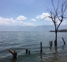 扬中洱海旅游攻略(洱海旅游攻略自由行)