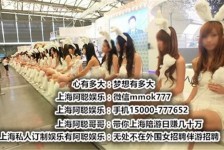 扬中雇用旅游男伴游(北京商务酒店雇用伴游)