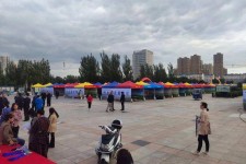 扬中通辽伴游雇用(哈尔滨伴游雇用)