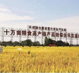 扬中关于成都商务伴游外围雇用的信息