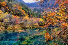扬中四川旅游攻略(四川旅游攻略十五日游)