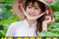 扬中日本关东伴游中国(日本关西旅行)