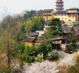扬中南京周边游(南京周边游景点大全 自驾车旅游)