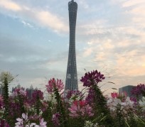 扬中广州旅游攻略(杭州到广州旅游攻略)