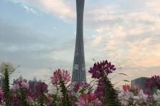 扬中广州旅游攻略(杭州到广州旅游攻略)