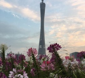 扬中广州旅游攻略(杭州到广州旅游攻略)