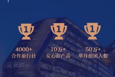 扬中上海私人伴游 ​ “小而美”的新时代：2020年国内新跟团消费报告