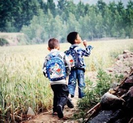 扬中河南一家四口结伴游中国2个月(河南适合一家四口旅游的地方)