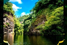 扬中旅游报价(旅行团旅游报价)