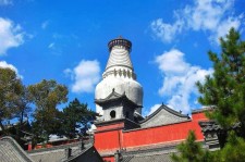 扬中游玩景点(游玩景点有哪些)