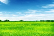扬中上海伴游 上海模特伴游微信号的交友宣言