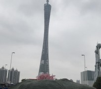 扬中广州游玩攻略(广州游玩攻略景点大全免费)