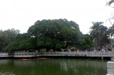 扬中福州旅游攻略(福州旅游攻略二日游)
