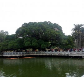 扬中福州旅游攻略(福州旅游攻略二日游)