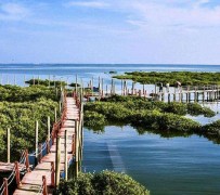 扬中旅游哪里好玩(云南旅游哪里好玩)
