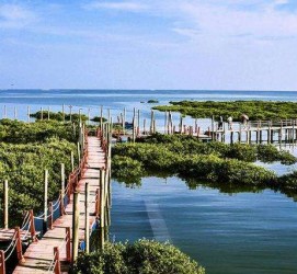 扬中旅游哪里好玩(云南旅游哪里好玩)